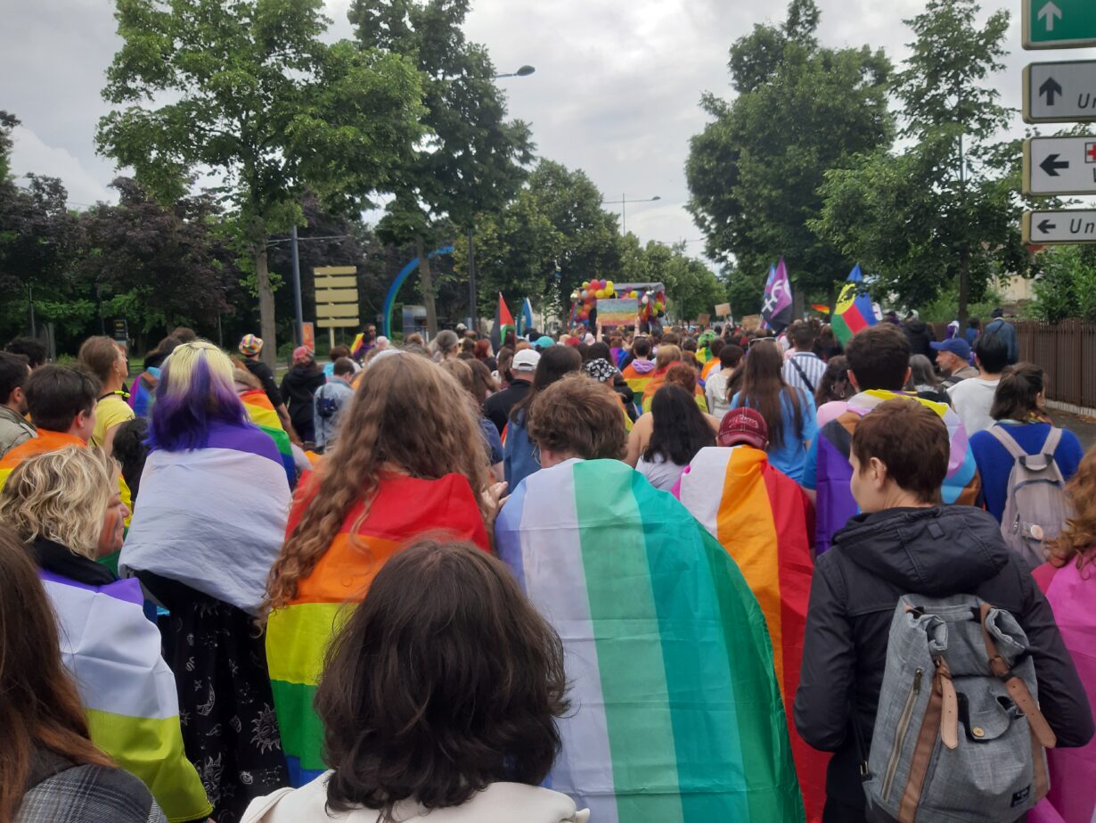 Vue d'ensemble sur Marche des fiertés de Mulhouse