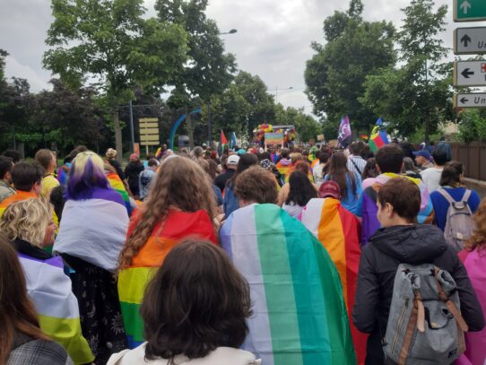 Vue d'ensemble sur Marche des fiertés de Mulhouse